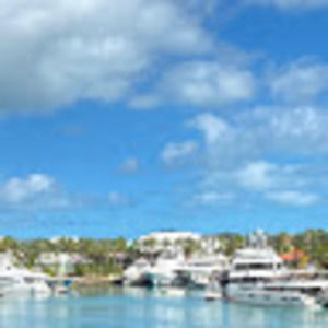 Meet your Posher, Etta